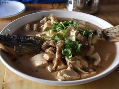 红烧狗鱼-煲来饱去冷水鱼