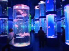 -石林冰雪海洋世界
