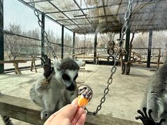 -水上乐园·欢乐世界