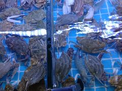 -海韵之星邮轮水会(明发商业广场店)