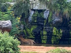 -海南热带野生动植物园