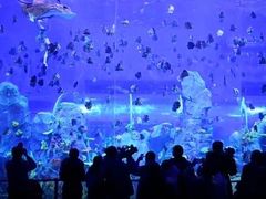 -石家庄极地海洋世界