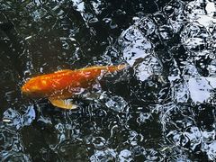 -春风习习