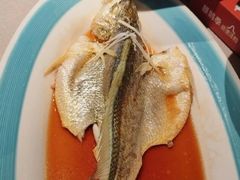清蒸宁德大黄鱼-顺鹅季·非遗烧鹅(六道口店)