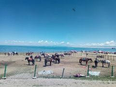 -青海湖国家重点风景名胜区
