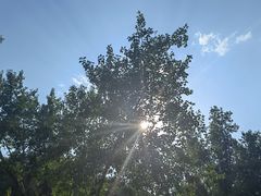 -灵溪风景区