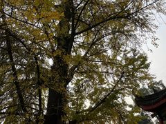 -金堂县云顶石城风景区