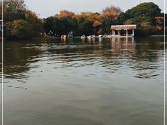 -太子山公园(园东路)