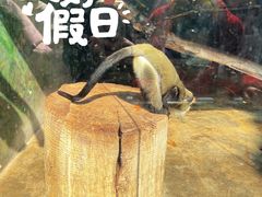 -南宁市动物园