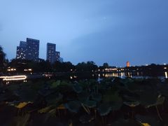 -西海子公园