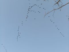 -苏州湾·王焰温泉