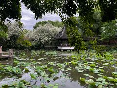 -上海醉白池公园