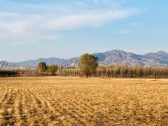 -野鸭湖国家湿地公园