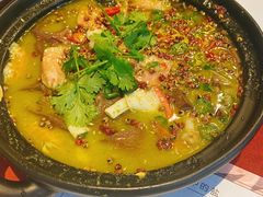 -赵小姐丨新中餐(曲江店)
