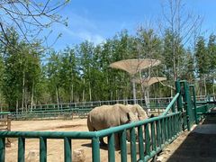 -秦皇岛野生动物园