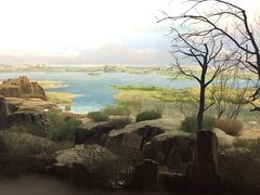 -水洞沟旅游区