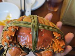 -蟹村草堂·苏式园林人文农家·大闸蟹