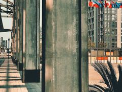 -新天地活力PARK