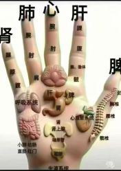 -雅曼妮spa美容养生