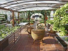 -上海市第一师范学校附属小学