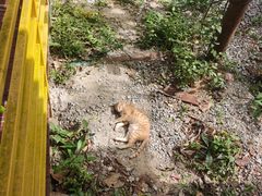 -七仙岭温泉国家森林公园