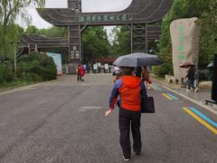 -溱湖国家湿地公园