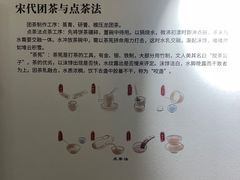 -大唐贡茶院