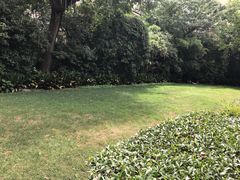 -老洋房花园饭店(绍兴路店)