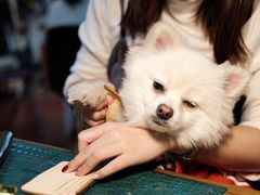 -零几体验diy皮具工作室(振业城店)