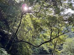 -西岭雪山大飞水景区