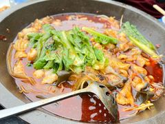 -都江堰石锅鱼