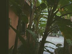 -铜锣湾·有麝自然香(重庆新天地店)