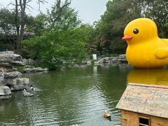 -扬州瘦西湖温泉
