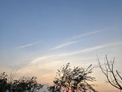 -捞渔河湿地公园