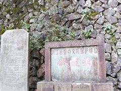 -仙霞关景区