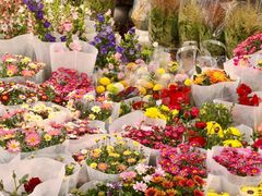 -双季花艺园艺市场(浦东店)