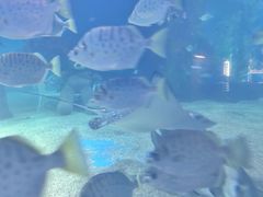 -常州海昌海洋探索馆