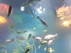 -沈阳海洋探索中心