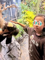 -Zoolung Zoolung动物主题公园(海信广场店)