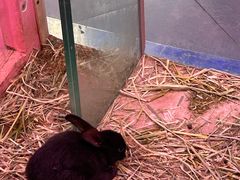 -正佳雨林生态植物园