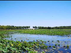 -天津东丽湖风景区