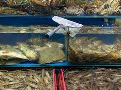 -三旗百汇商品城