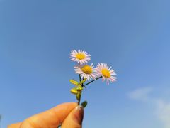-洨河生态公园