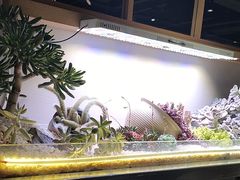 -街角等你.大连海鲜烧烤.经典铁板海鲜串(西安路店)