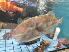 -聚福宝合苑食府(南头镇店)