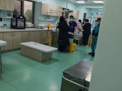 -北京观赏动物医院·24小时大型综合·猫专科·异宠专科