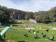 -哈尔滨北方森林动物园