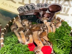 -芸山季·云南山珍菌火锅(人民广场来福士店)