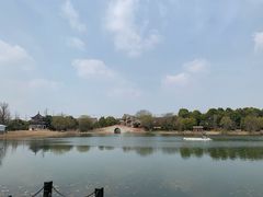 -东方大寿星园