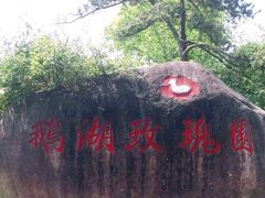 -鹅湖玫瑰文化园